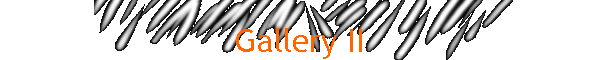 Gallery II