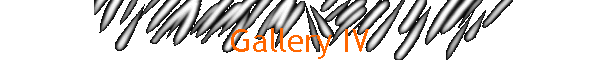 Gallery IV